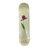 SHAPE MILK - X betojanz rose 7,75
