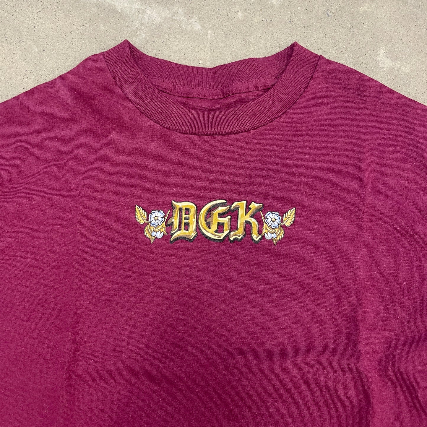 Camiseta DGK Protect Us Bordo
